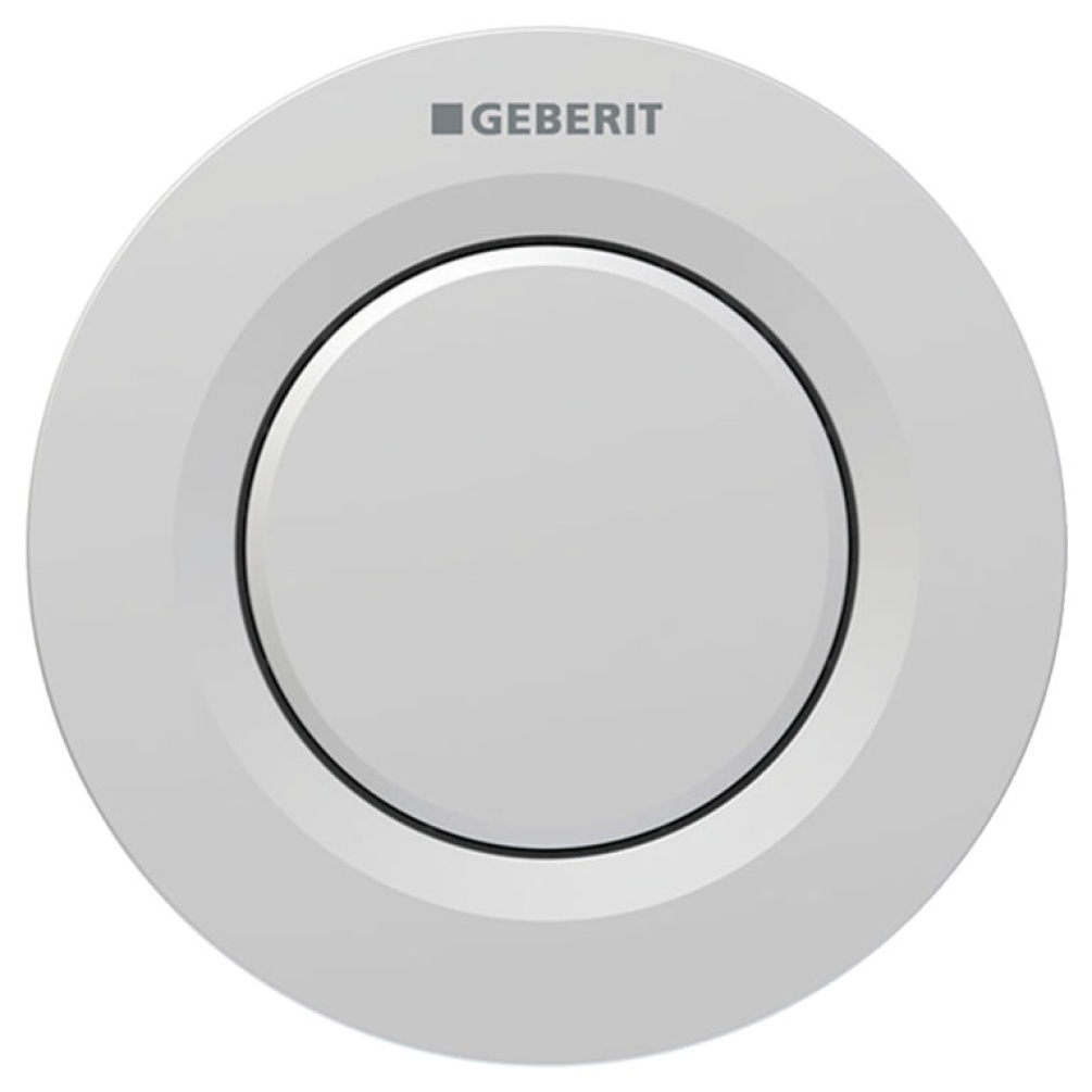 Cutout image of Geberit Type 01 Matt Chrome Single Flush Button